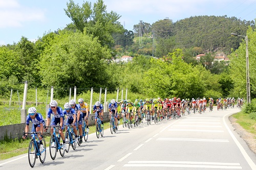 Ciclismo para todos os gostos