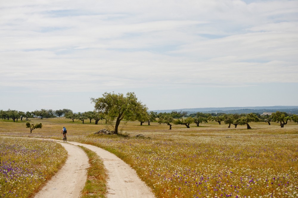 Ciclismo ao encontro do territ�rio