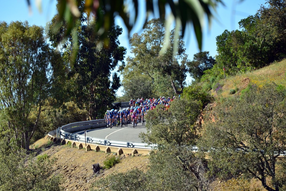 Juniores voltam � estrada com a Volta ao Concelho de Loul�