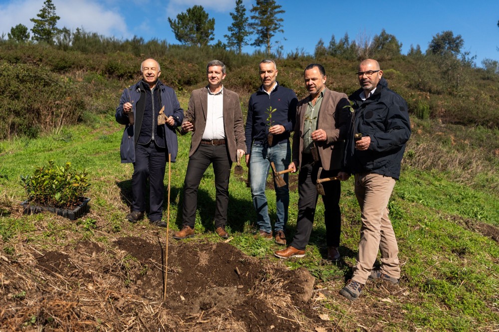Carvalhos plantados na F�ia assinalam compromisso ambiental da Volta ao Algarve