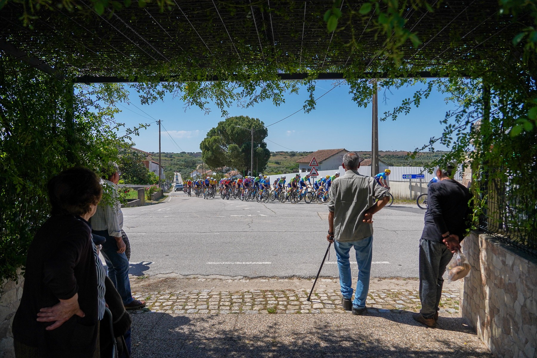 Ta�a de Portugal de Esperan�as decide-se com jornada dupla no fim de semana